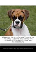 A Look at Popular Sports Teams with Bulldog Mascots Including the University of Georgia, Yale, and Georgetown