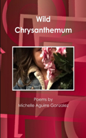 Wild Chrysanthemum