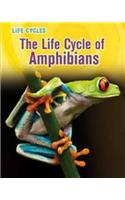The Life Cycle of Amphibians