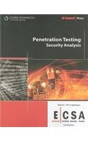 Penetration Testing: Security Analysis