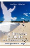 The Healing Journey of My Bodacious Ta Ta's
