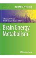Brain Energy Metabolism: (90 Neuromethods)
