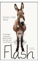 Flash