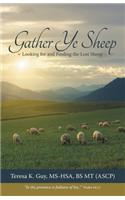 Gather Ye Sheep: Looking for and Finding the Lost Sheep