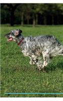 English Setter Affirmations Workbook English Setter Presents