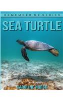 Sea Turtles