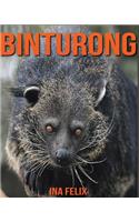 Binturong: Children Book of Fun Facts & Amazing Photos on Animals in Nature - A Wonderful Binturong Book for Kids aged 3-7