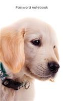 Password Notebook: Internet Address and Password Logbook / Journal / Diary - Golden Retriever Puppy Cover