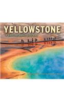 Yellowstone a Photographic Journey