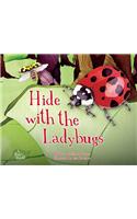 Hide with the Ladybugs