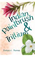 Indian Paintbrush & Trillium