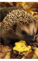 Ein Igel wandert durch das Laub Notizbuch