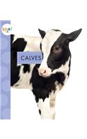 Calves