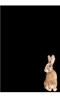Rabbit Journal