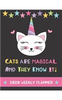 Cats Are Magical And They Know It! 2020 Weekly Planner: Adorable Colorful Caticorn Planning Journal