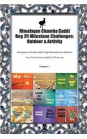 Himalayan Chamba Gaddi Dog 20 Milestone Challenges: Outdoor & Activity: Himalayan Chamba Gaddi Dog Milestones for Outdoor Fun, Socialization, Agility & Training Volume 1