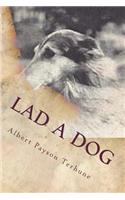 Lad A Dog