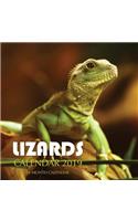 Lizards Calendar 2019