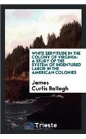 White Servitude in the Colony of Virginia: A Study of the System of Indentured Labor in the American Colonies;