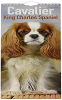 Cavalier King Charles Spaniel 2021 Slim Calendar