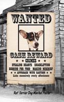 Rat Terrier Dog Wanted Poster: Isometric Dot Drawing Paper Notebook Featuring 120 Pages 6x9