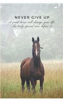 Never Give Up. a Great Horse Will Change Your Life. the Truly Special Ones Define It.