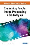 Examining Fractal Image Processing and Analysis