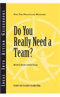 Do You Really Need a Team?