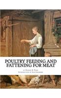 Poultry Feeding and Fattening For Meat