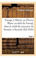 Voyage À Méroé, Au Fleuve Blanc Au-Delà de Fazoql, Dans Le MIDI Du Royaume de Sennâr, À Syouah