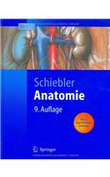 Anatomie
