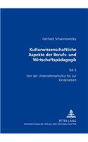 Kulturwissenschaftliche Aspekte Der Berufs- Und Wirtschaftspaedagogik