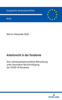 Arbeitsrecht in der Pandemie: Eine individualarbeitsrechtliche Betrachtung unter besonderer Beruecksichtigung der COVID-19-Pandemie