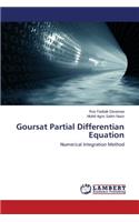 Goursat Partial Differentian Equation