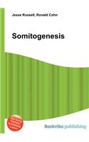 Somitogenesis: (English)