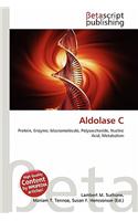 Aldolase C