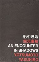 An Encounter in Shadows