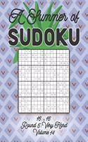 A Summer of Sudoku 16 x 16 Round 5: Very Hard Volume 14: Relaxation Sudoku Travellers Puzzle Book Vacation Games Japanese Logic Number Mathematics Cross Sums Challenge 16 x 16 Grid Beg