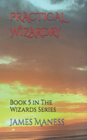 Practical Wizardry: Book 5 in The Wizards Series(5 Wizards)