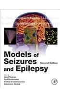 Models of Seizures and Epilepsy