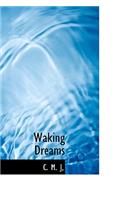 Waking Dreams