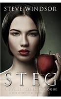 Steg