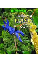 Peeking at Plants with a Scientist
