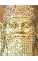 Life in Ancient Mesopotamia