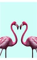 Flamingo: Flamingo Notebook, Journal, Diary / 120 lined pages / size 6x9 inch