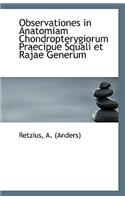Observationes in Anatomiam Chondropterygiorum Praecipue Squali Et Rajae Generum