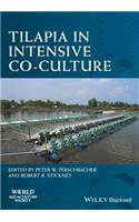Tilapia in Intensive Co-culture
