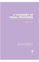 A Taxonomy of Visual Processes