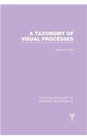 Taxonomy of Visual Processes