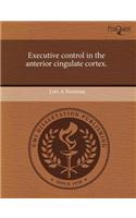 Executive Control in the Anterior Cingulate Cortex